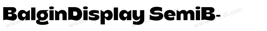 BalginDisplay SemiB字体转换 BalginDisplay SemiB字体转换